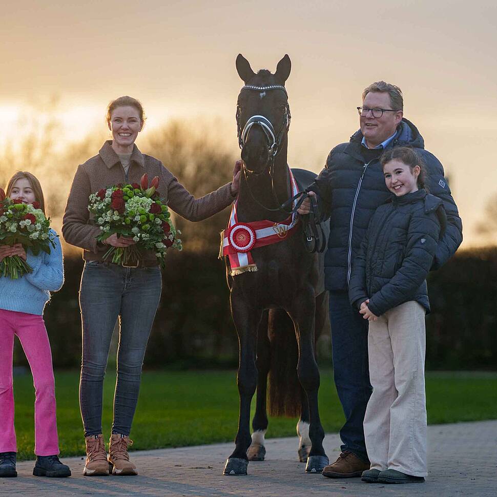 Komiet Siegerhengst Reitpony