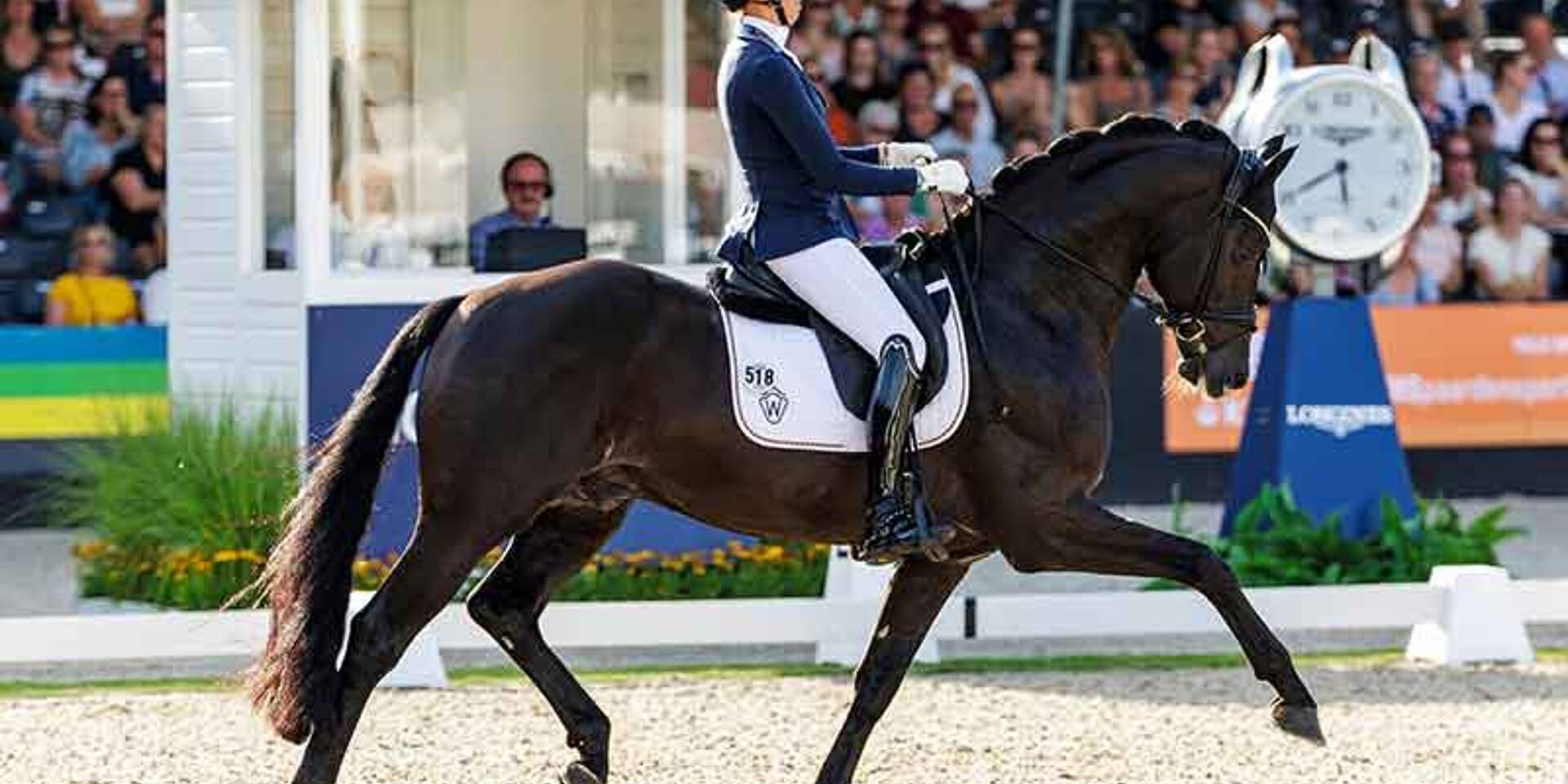 Vize-Weltmeister Glamdale WP